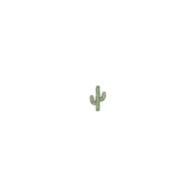 Шарм Cactus - Fiesta