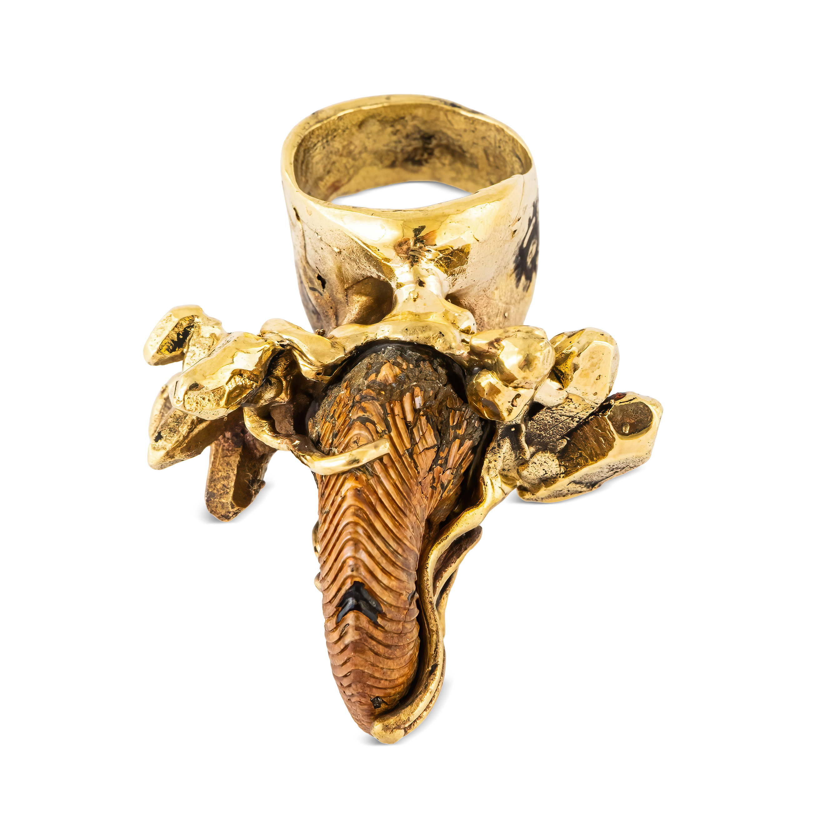 Brass ring with ammonite