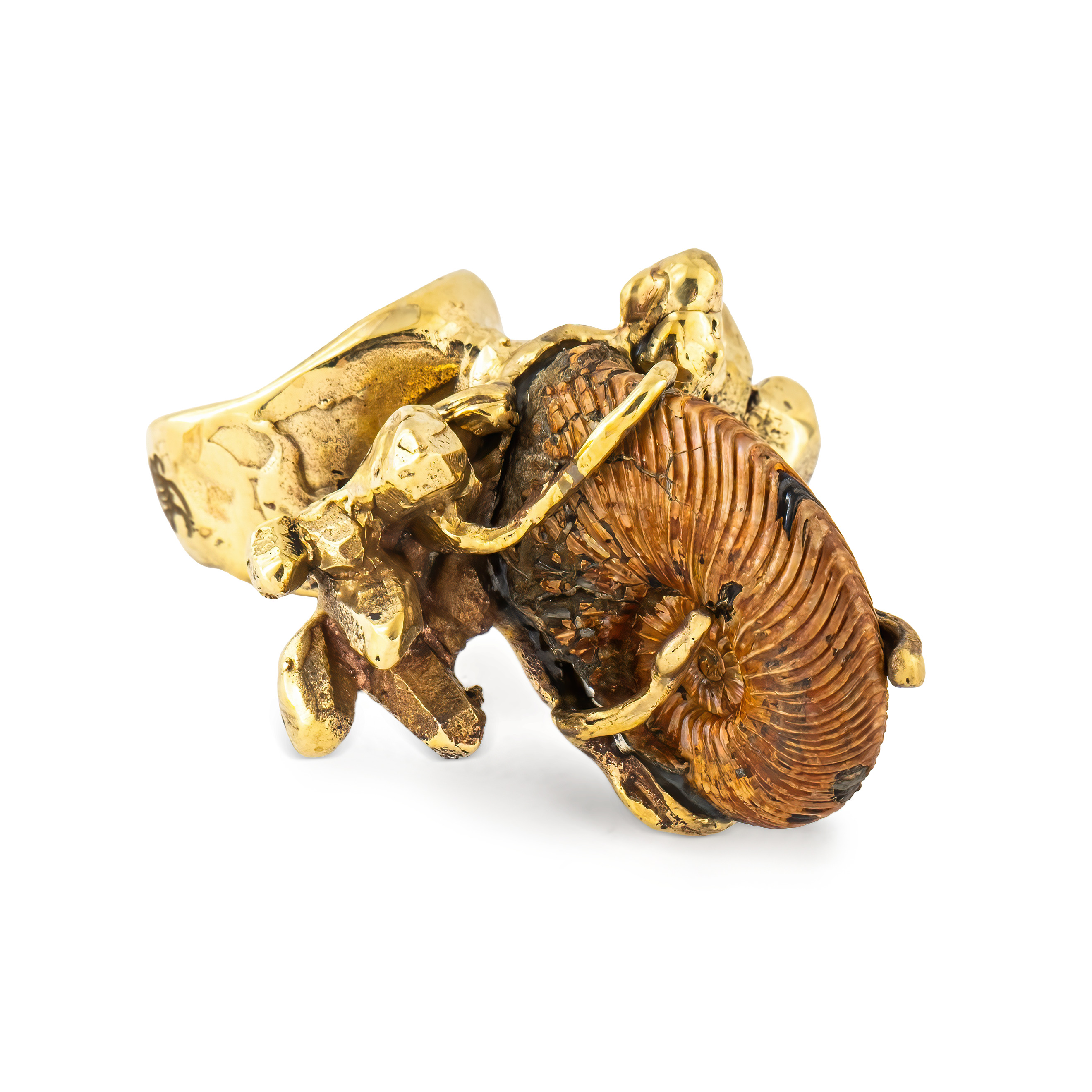 Brass ring with ammonite