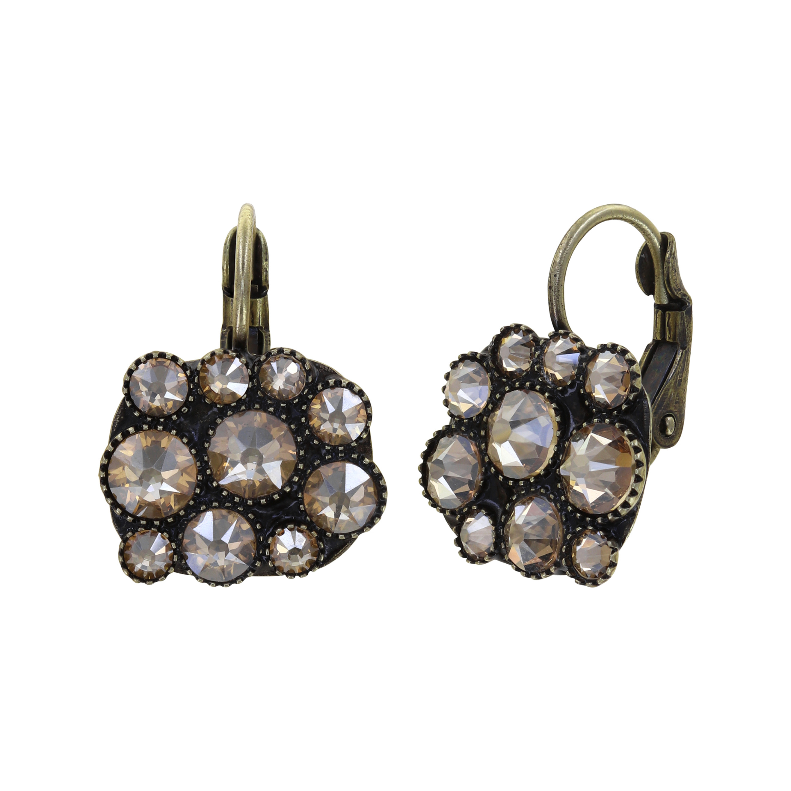 Earth, Wind and Busines Earrings
