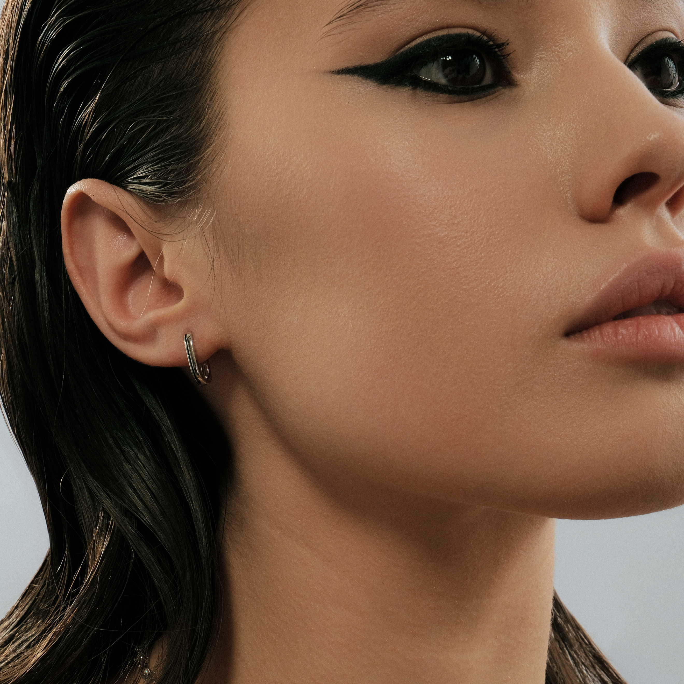 Silver Oval Earrings
