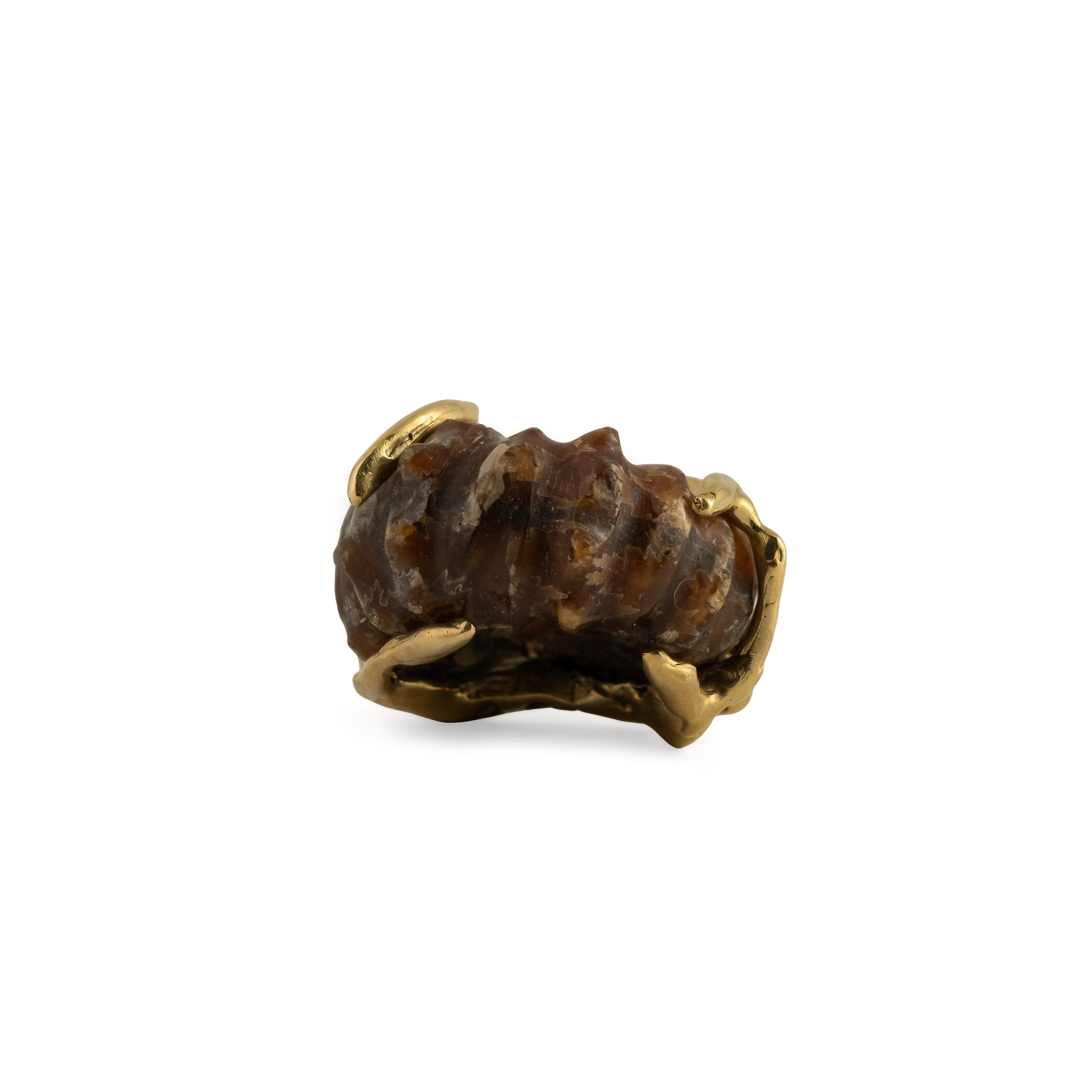 brass ring with ammonite