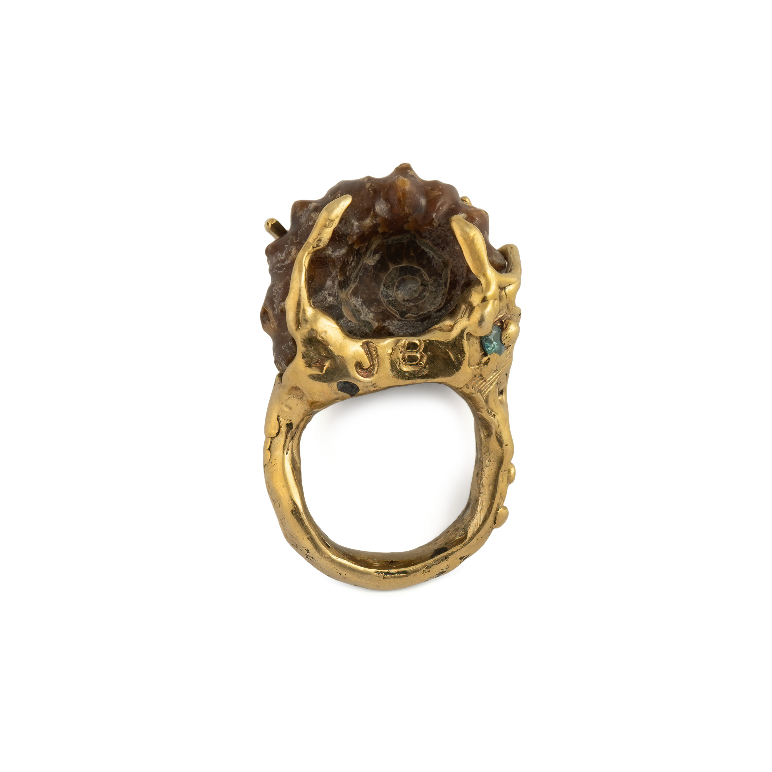 brass ring with ammonite