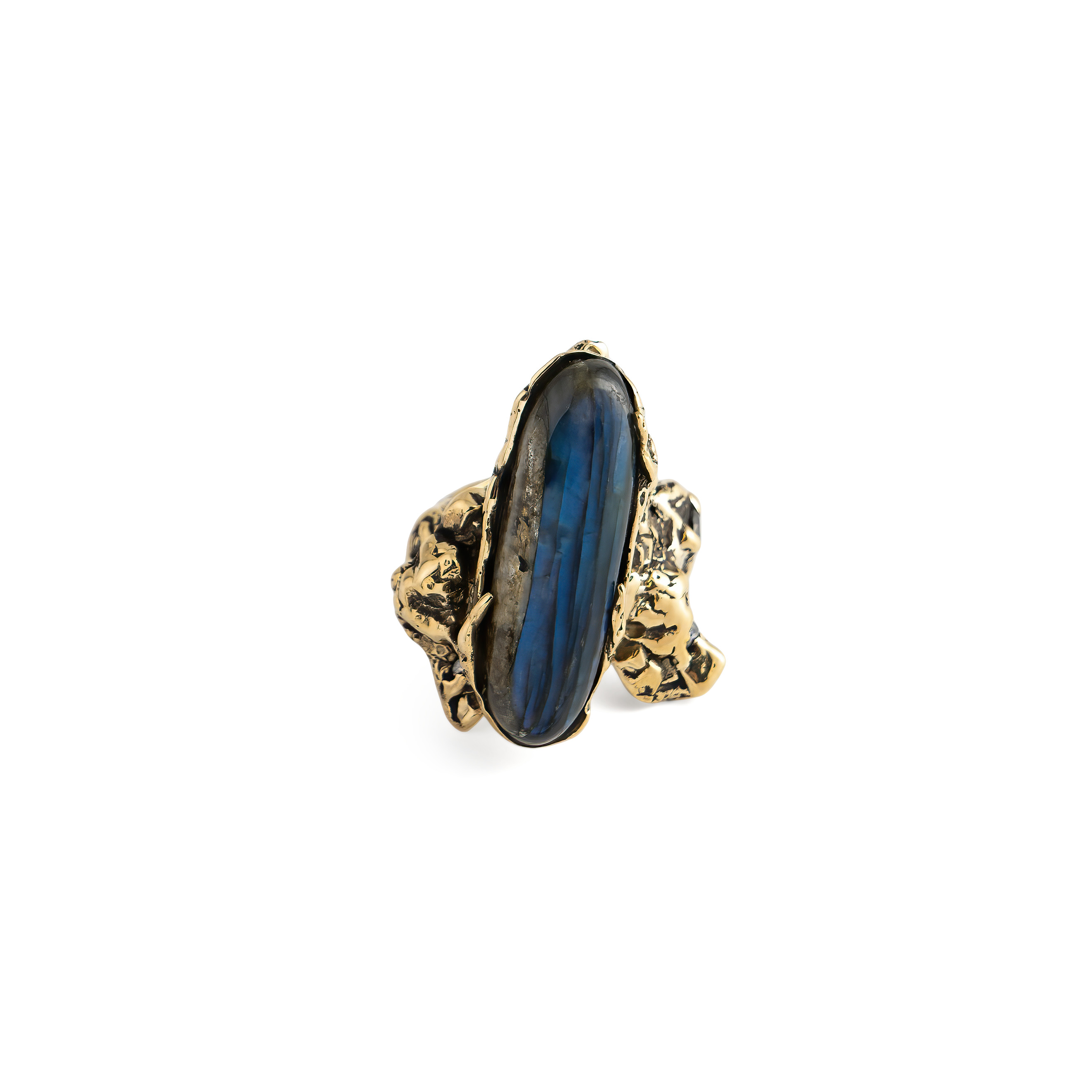 Brass ring with labrador