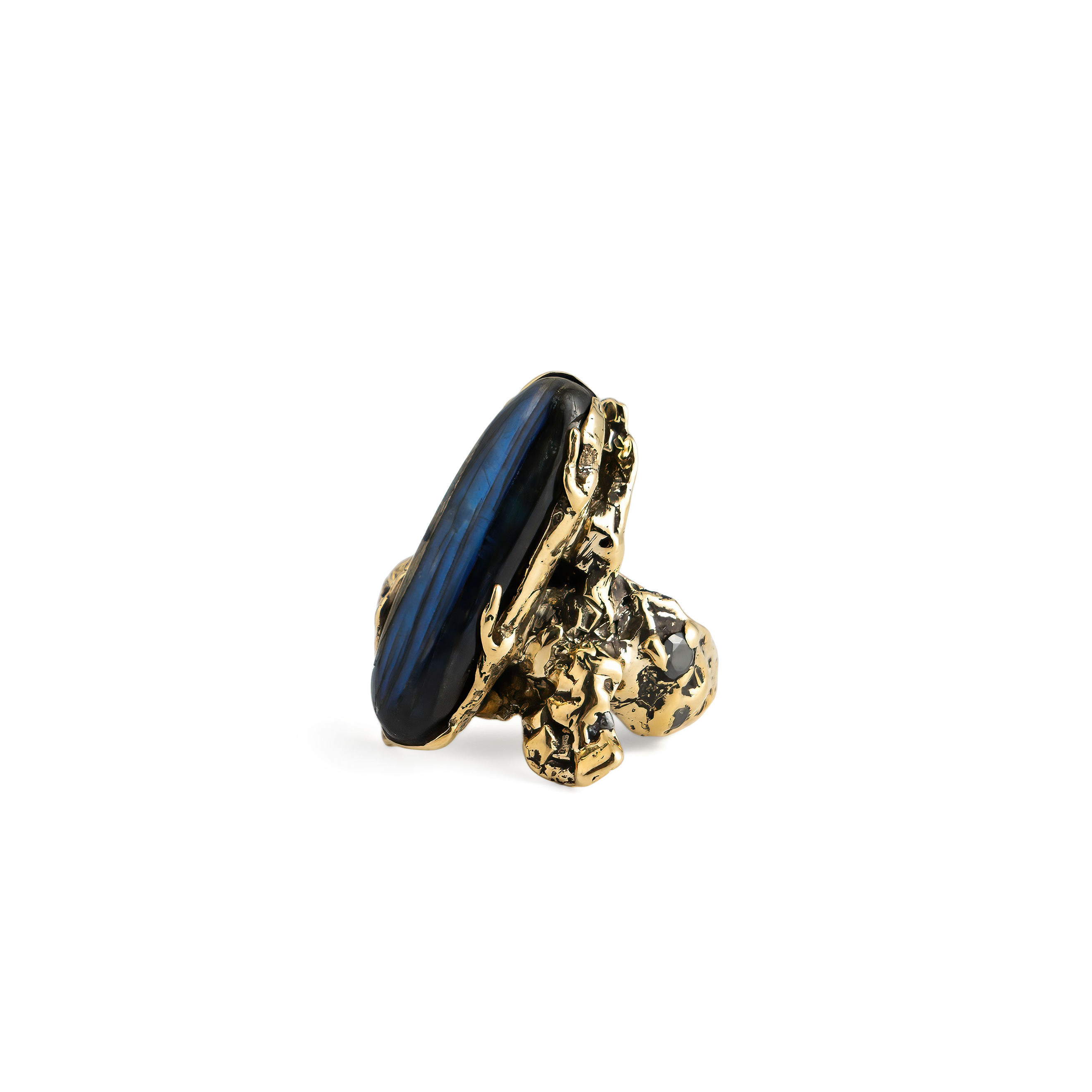 Brass ring with labrador