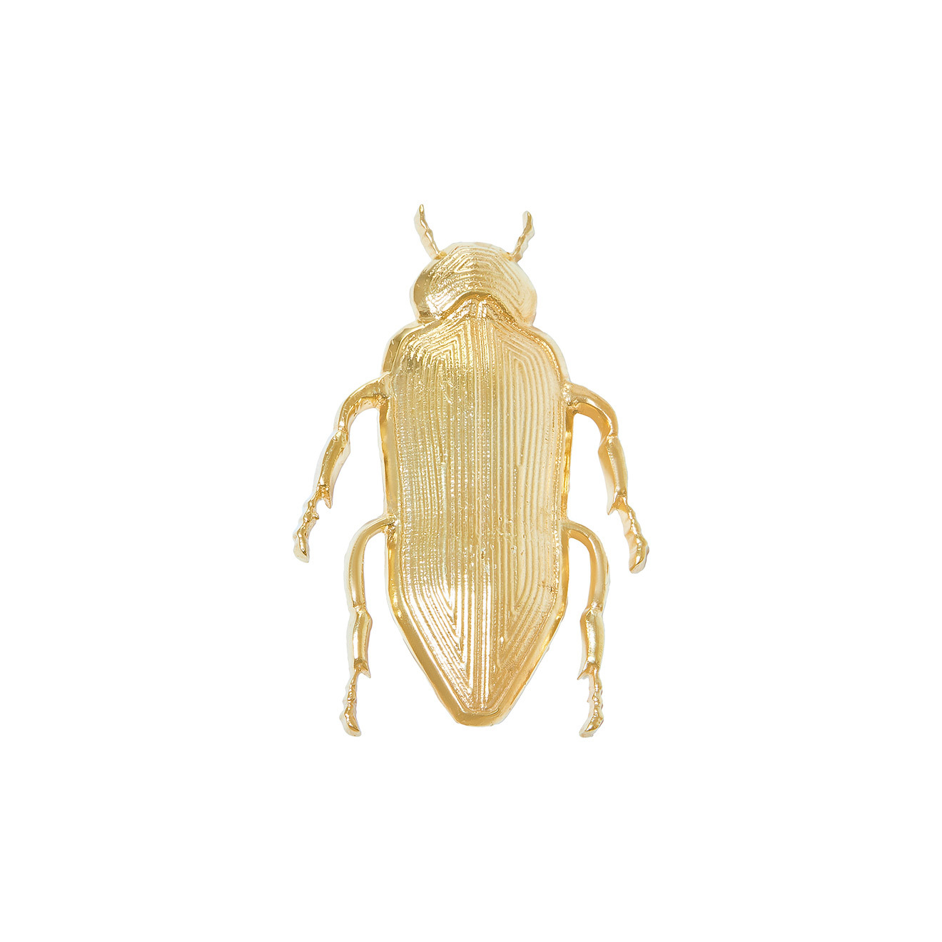Gilded Large Beetle Brooch