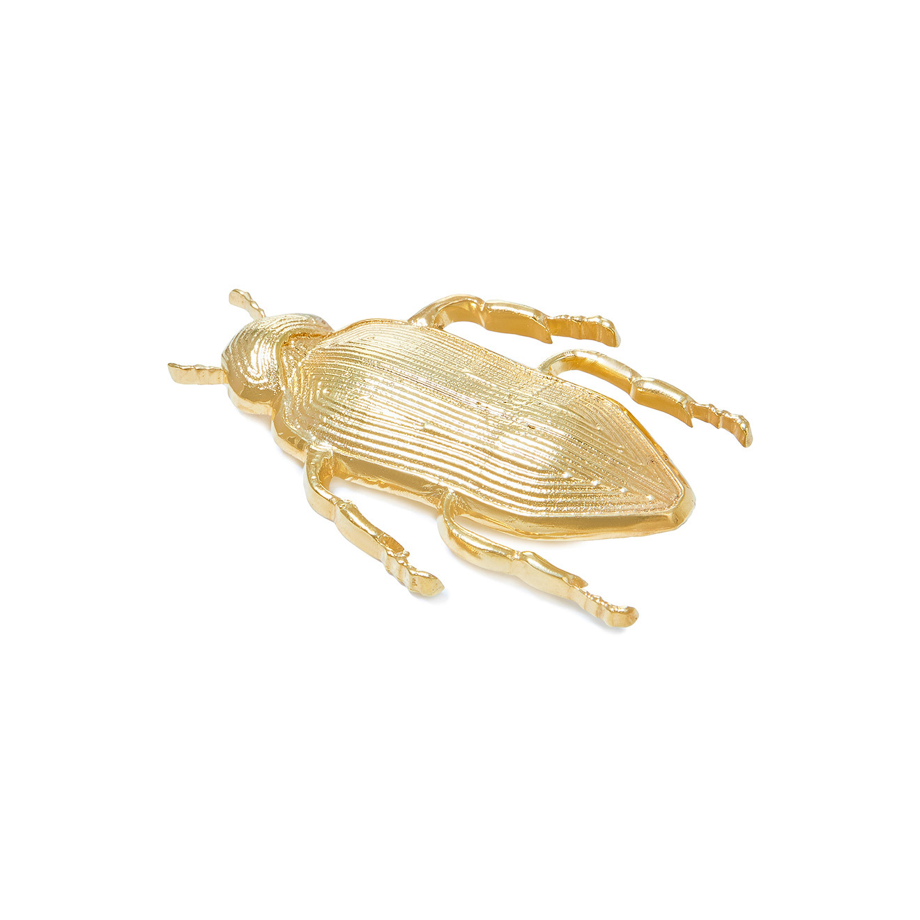 Gilded Large Beetle Brooch