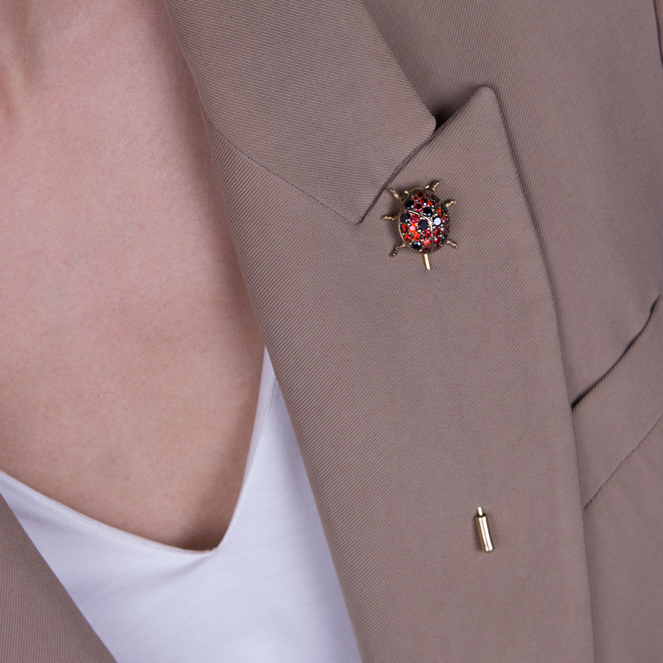 Gold-plated brooch with Roccinella