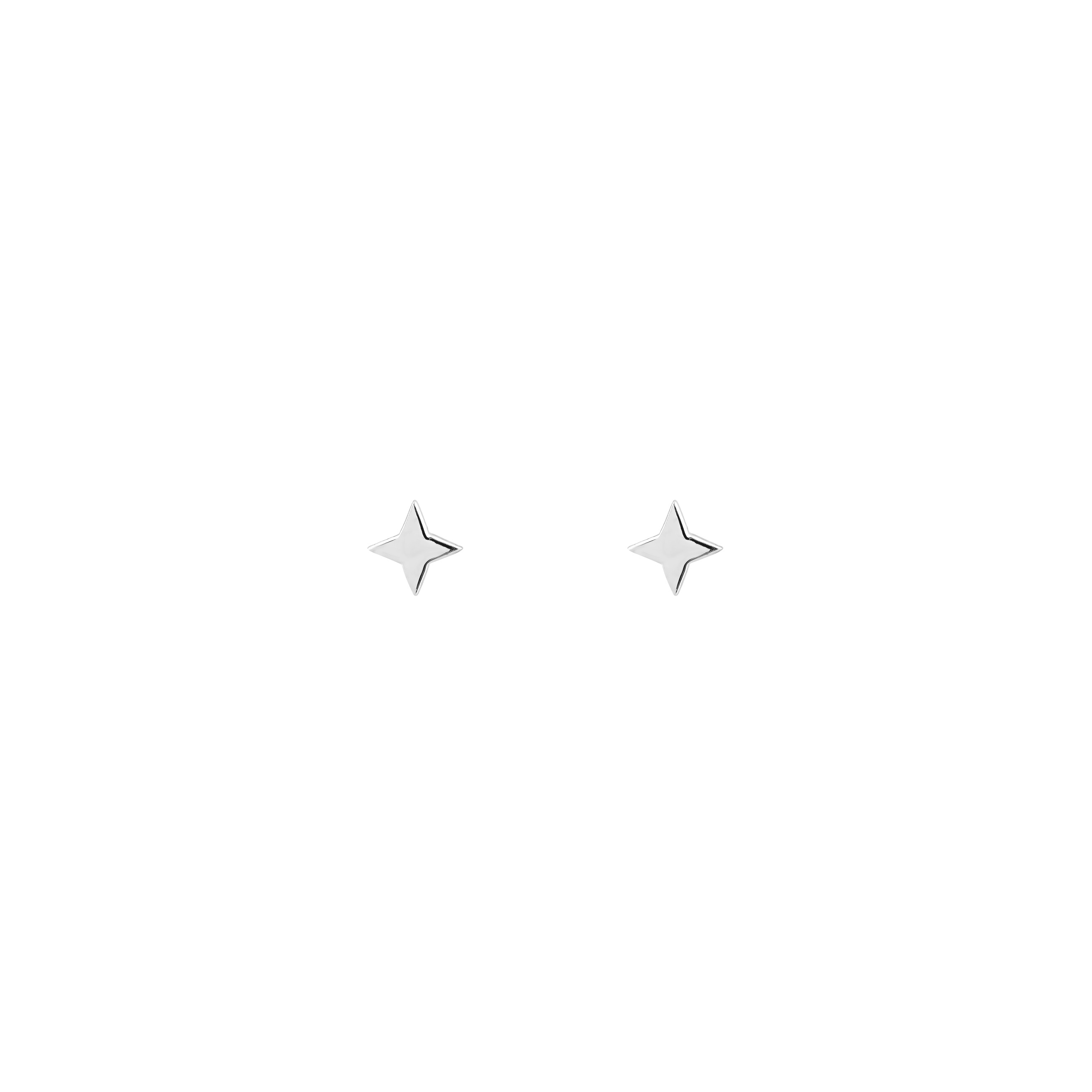 White Gold Earrings